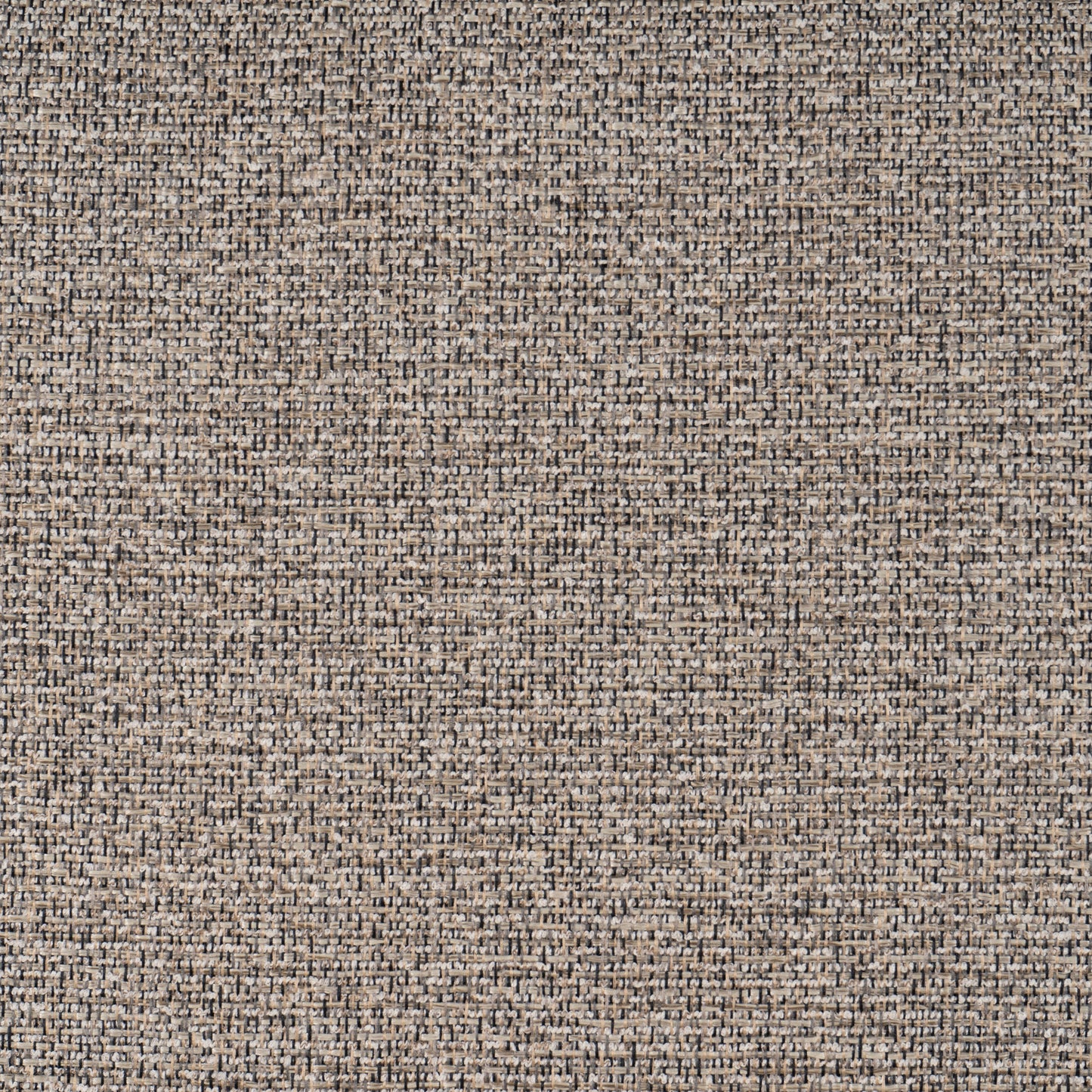 Chaise d'appoint Daly (lot de 2)